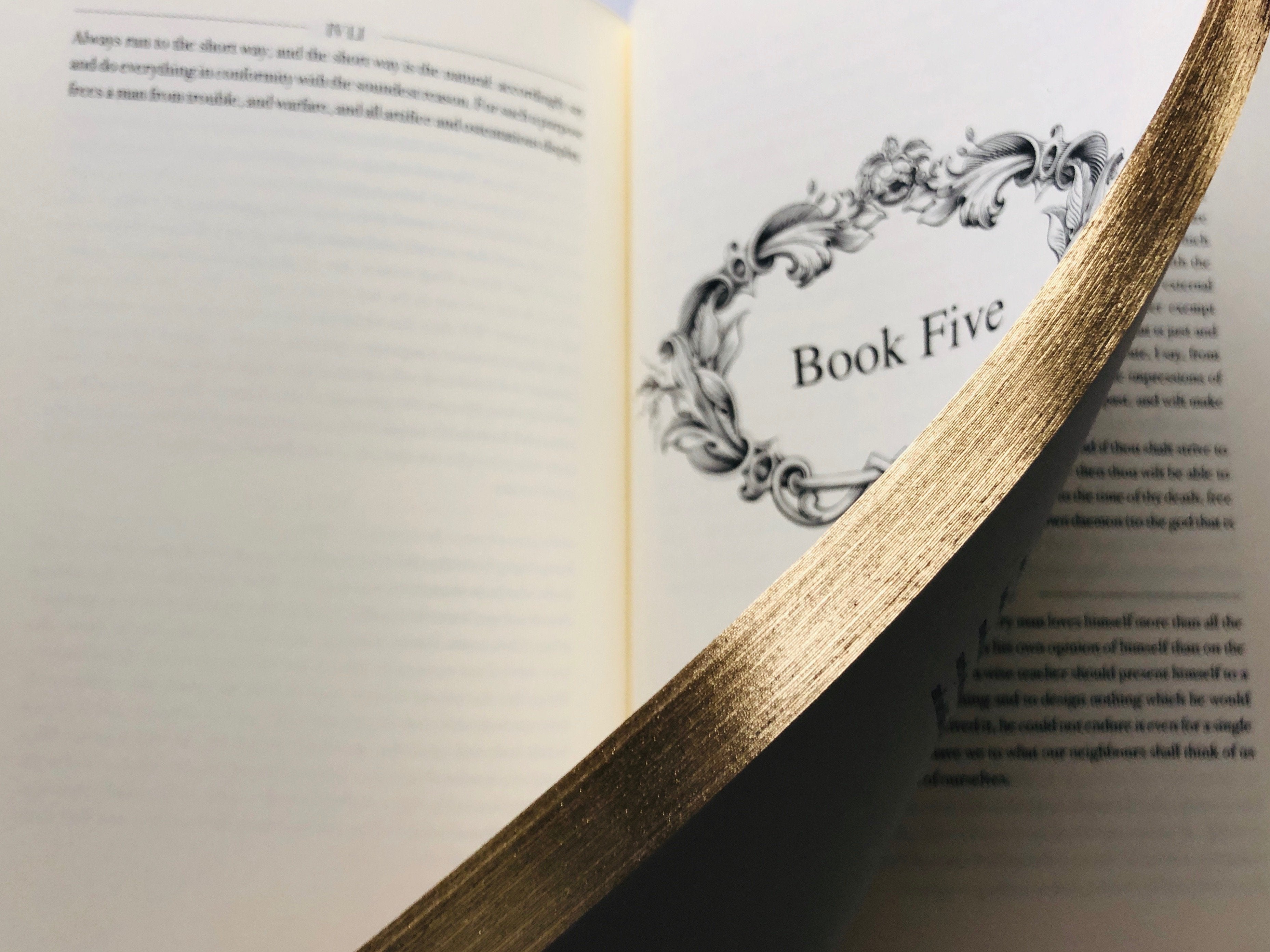 Embrace Stoic wisdom with The Stoic Collection - Meditations, Discourses, and more.